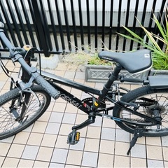 子供自転車　ルイガノ　20インチ
の画像