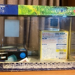 40センチ水槽の画像