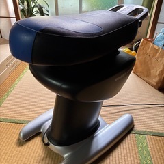 ロデオボーイ　フィットネス機器の画像