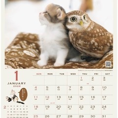 【新品】正規品2026 猫とフクロウの壁掛けカレンダーの画像