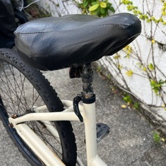 子供乗せビーチクルーザーの画像