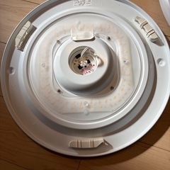 天井らいとライトの画像