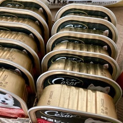 ドッグフード等の画像