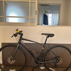 GIANT Escape RX2 Discの画像