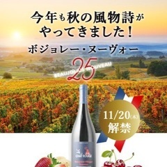 🍷✨ボジョレー解禁♡ 一緒に飲みくらべ＆食べ歩きできる女子友募集💗