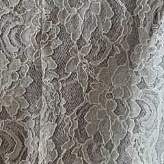 レディーストップスの画像