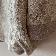 レディーストップスの画像