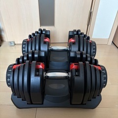 [超お得]自宅トレーニング用　可変式アジャスタブルベンチ&ダンベルセット
　　　の画像
