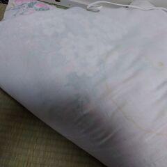 【無料０円】中古 電気敷き毛布他寝具一式 ノークレームノーリターンの画像