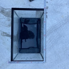 35cmと40cm水槽の画像
