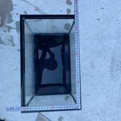 35cmと40cm水槽の画像