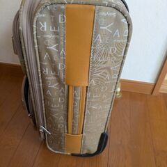使わなくなった旅行用のバッグの画像