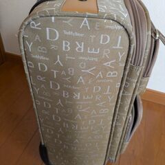 使わなくなった旅行用のバッグの画像