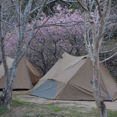 NEMO　ヘキサライト 6p 純正二股化ツール付属の画像