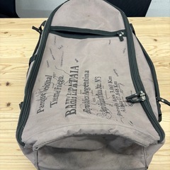 布製キャリーバッグの画像