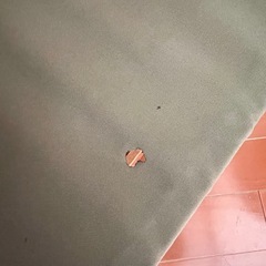 焚き火チェア　ニトリ廃盤品　キャンプ　折りたたみ　ローチェアの画像