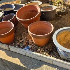 瀬戸物、陶器の植木鉢　欲しいだけの画像