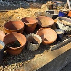 瀬戸物、陶器の植木鉢　欲しいだけの画像