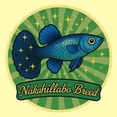 【なかひらぼブリード】ネオンテールタキシード（1ペア」）の画像