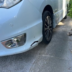 NISSANセレナ 売り！売！瓜！の画像