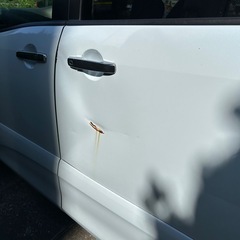 NISSANセレナ 売り！売！瓜！の画像