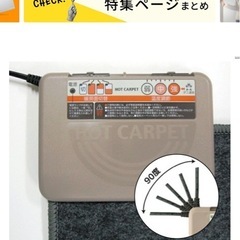 ホットカーペットの画像