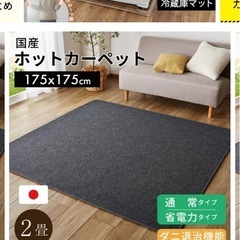 ホットカーペットの画像