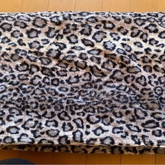 豹柄　布の画像