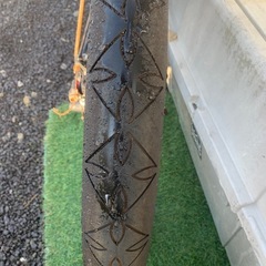 ロングビーチクルーザーの画像