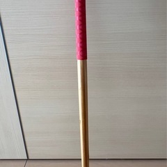 ハーレーパドルの画像