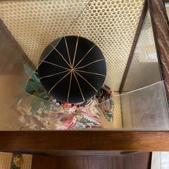 ガラスケース人形の画像