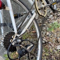 GRAPHISジャンクベースの画像