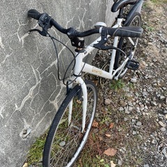 GRAPHISジャンクベースの画像