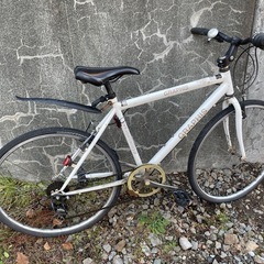 GRAPHISジャンクベースの画像