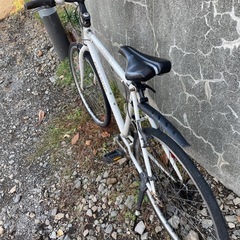 GRAPHISジャンクベースの画像