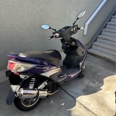 シグナスの画像