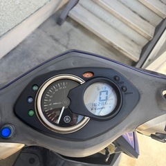 シグナスの画像