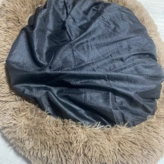 ペット用クッションの画像