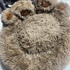 ペット用クッションの画像