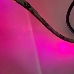 イルミネーション　ピンク色LEDテープ　5m/2巻+おまけ1巻の画像