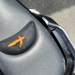 YAMAHA マグザムの画像