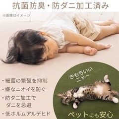 アイリスプラザ フランネルラグ ダークグレー 円形 100㎝ の画像