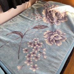 シングル毛布2枚セット　色違いの画像