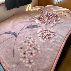 シングル毛布2枚セット　色違いの画像