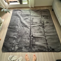 やわらかカーペットの画像