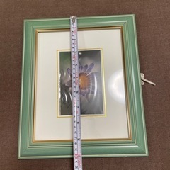額縁の画像