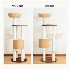 キャットタワーの画像