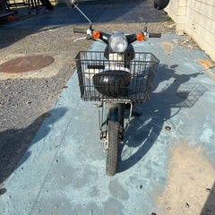 カブ、一発始動の画像