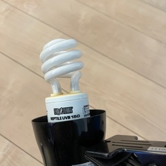 小動物飼育小屋の画像