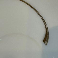 A7151【ジバンシー】カップ＆ソーサー 3客の画像